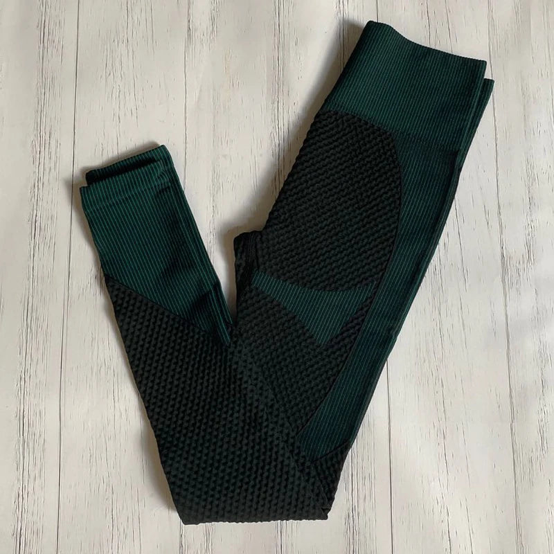 Conjunto de fitness feminino sem costura: camisa de manga comprida, sutiã esportivo e leggings de cintura alta